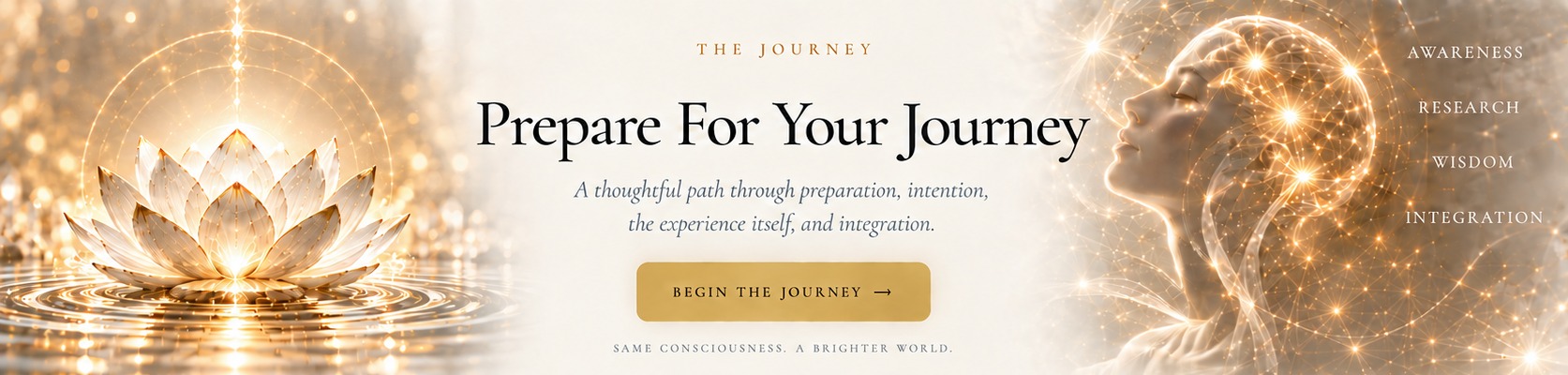 The Journey. Prepare For Your Journey. A thoughtful path through preparation, intention, the experience itself, and integration. Same consciousness. A brighter world.